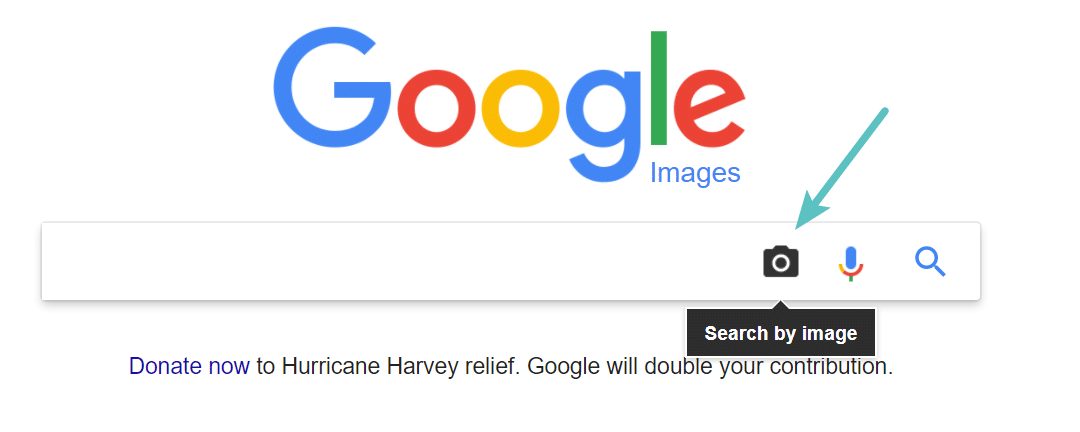 How to Protect Images On Your Site (+ What To Do After Theft)
