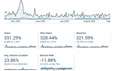A Mano Florals 331% improvement in website traffic due to SEO improvements